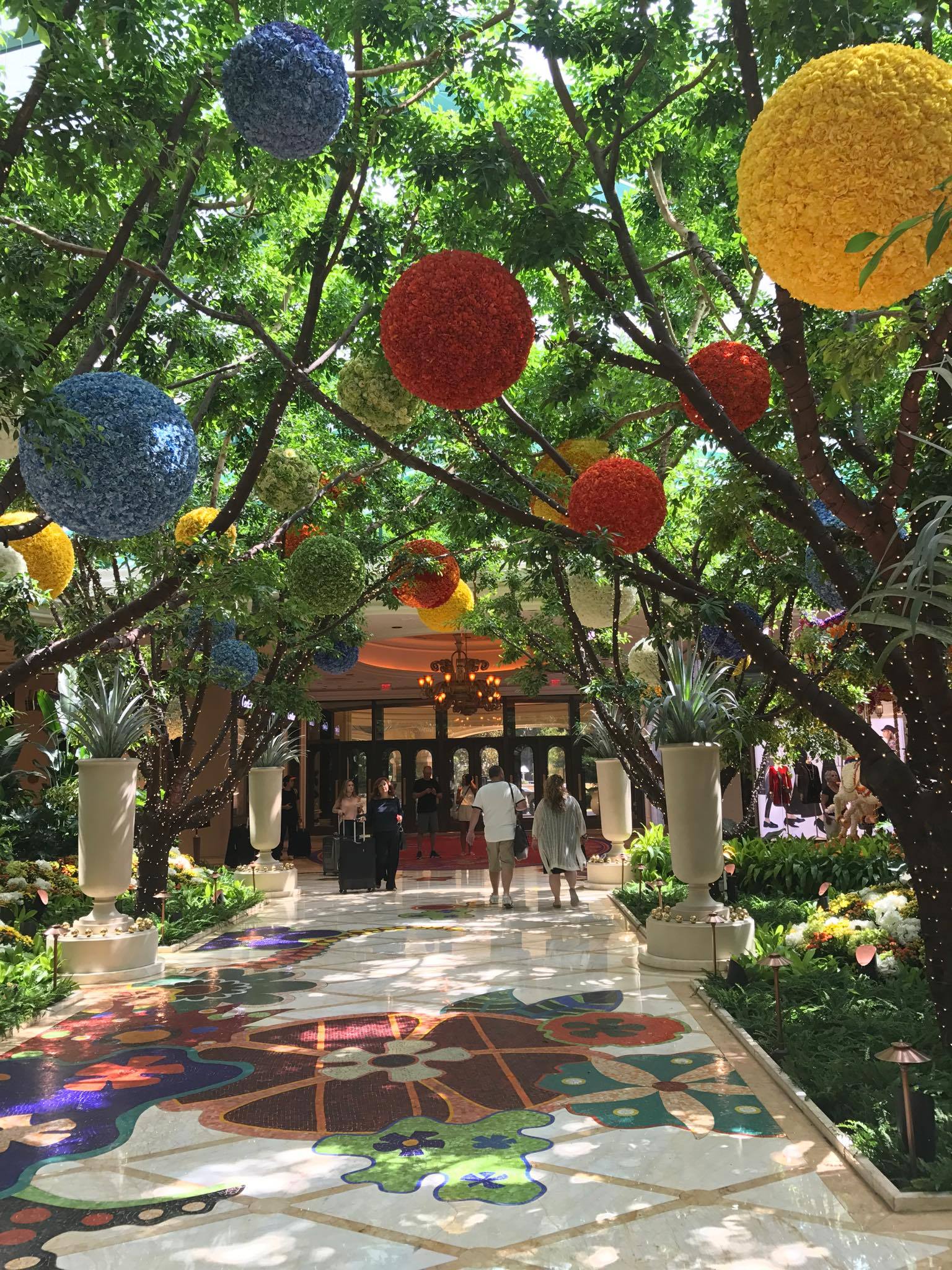 20793564_10154620395021470_414610863_o