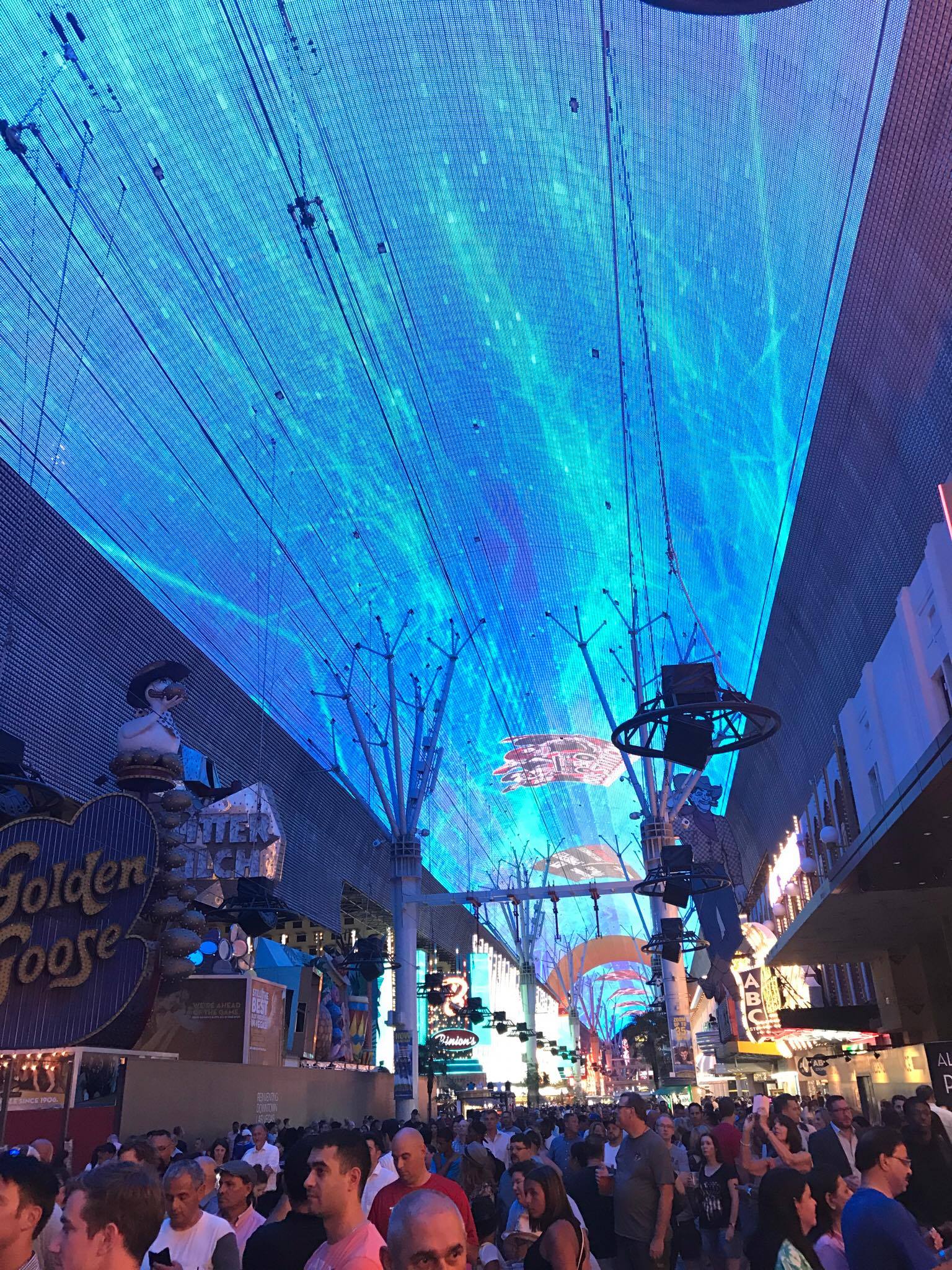 20806888_10154620456306470_15727942_o