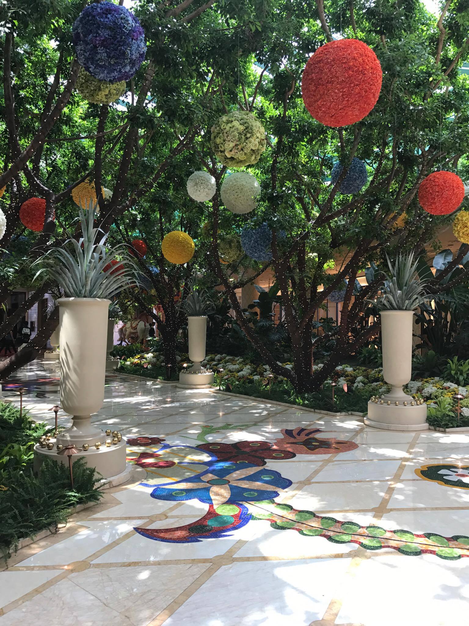 20813443_10154620499416470_130919300_o