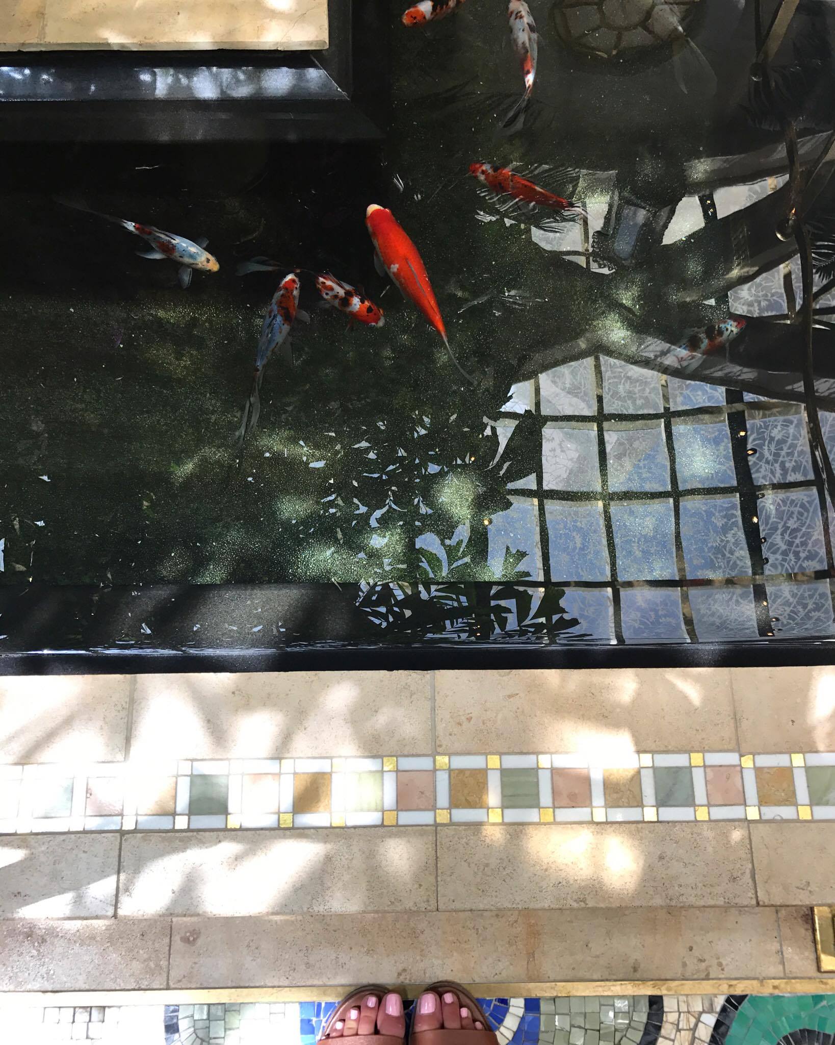 20821342_10154620499511470_2138861561_o