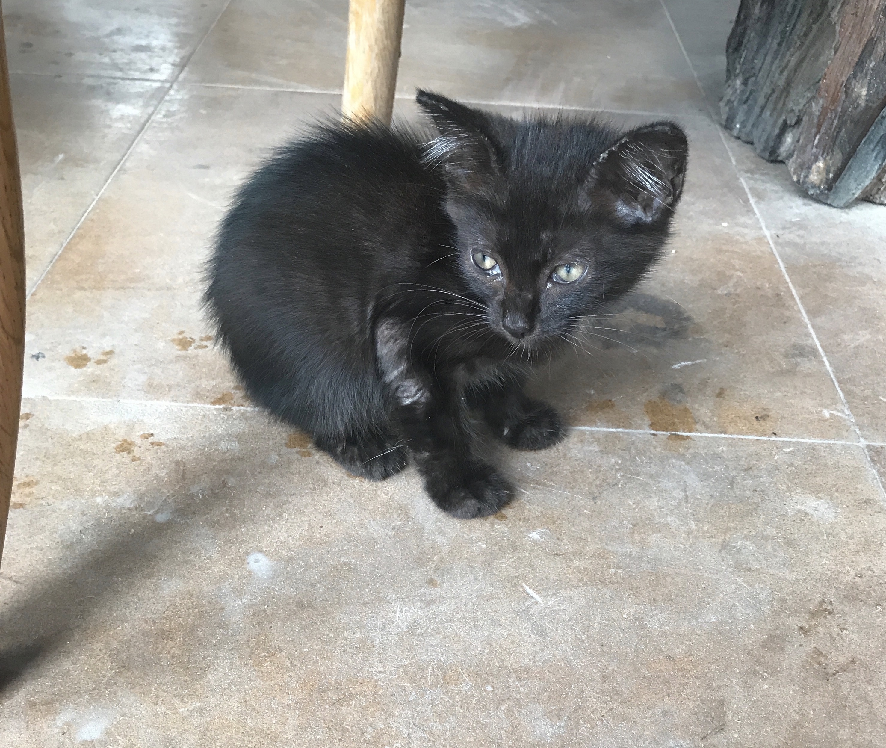 FullSizeRender (008)