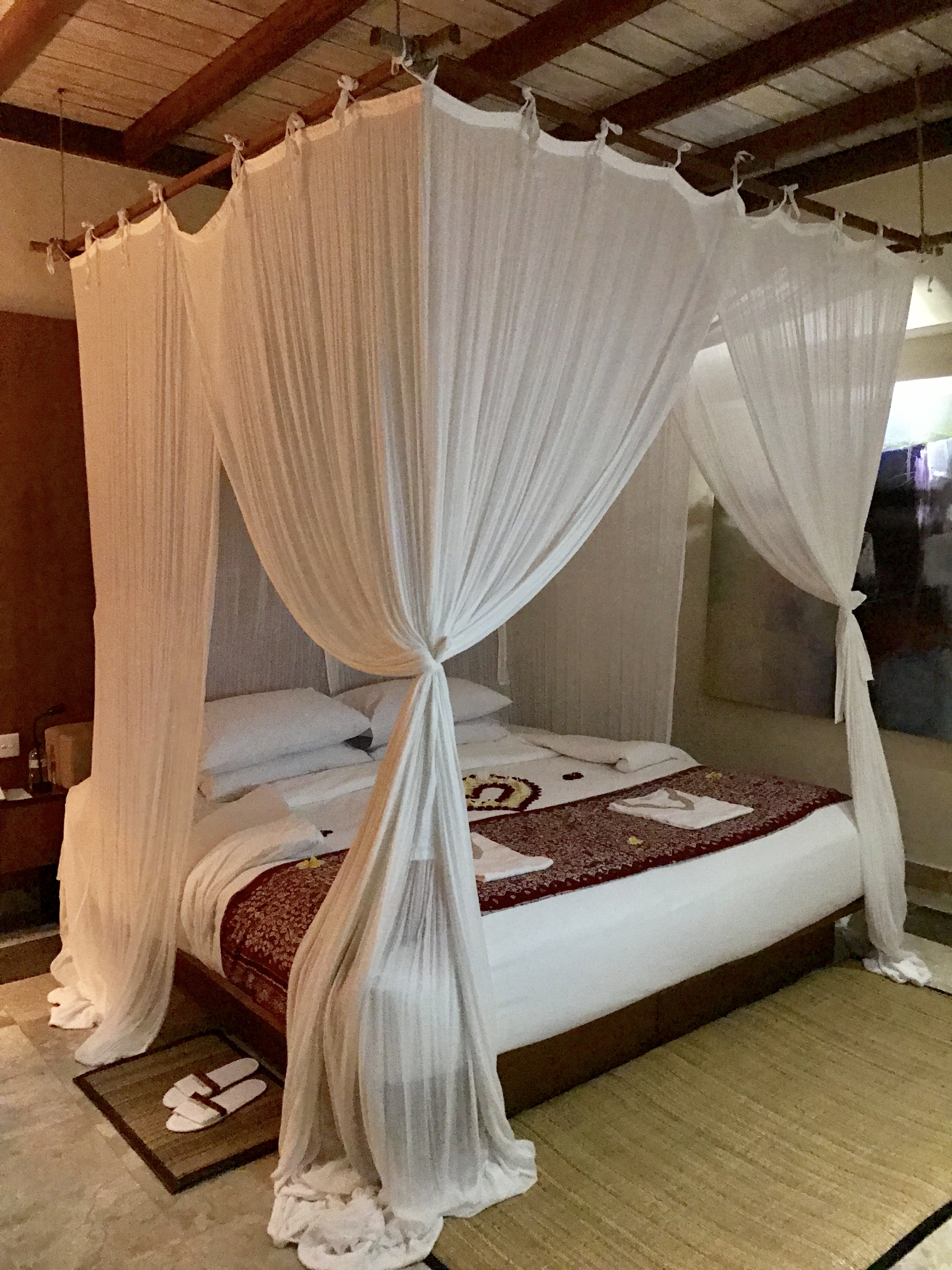 FullSizeRender (01B)