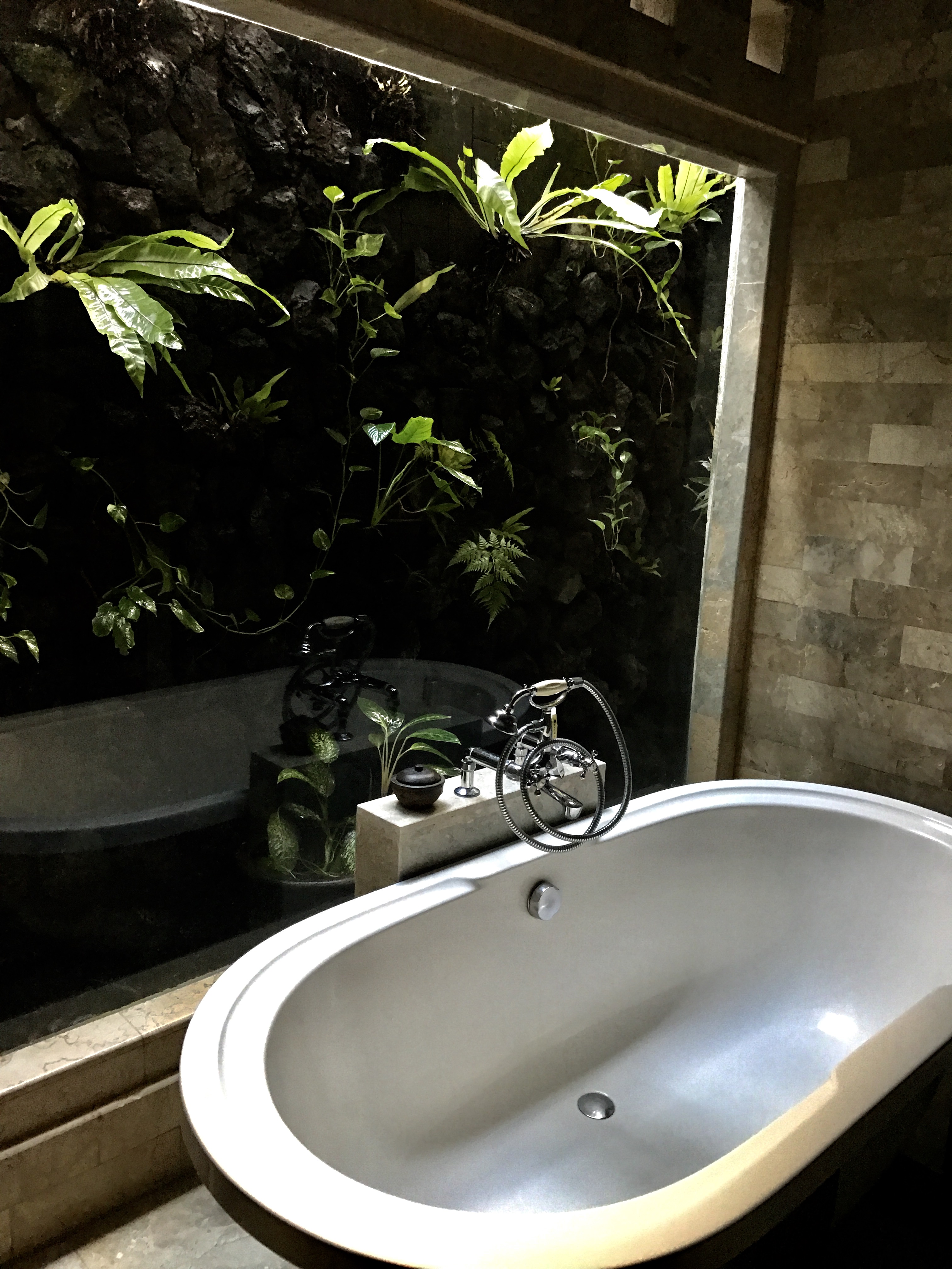 FullSizeRender (01D)