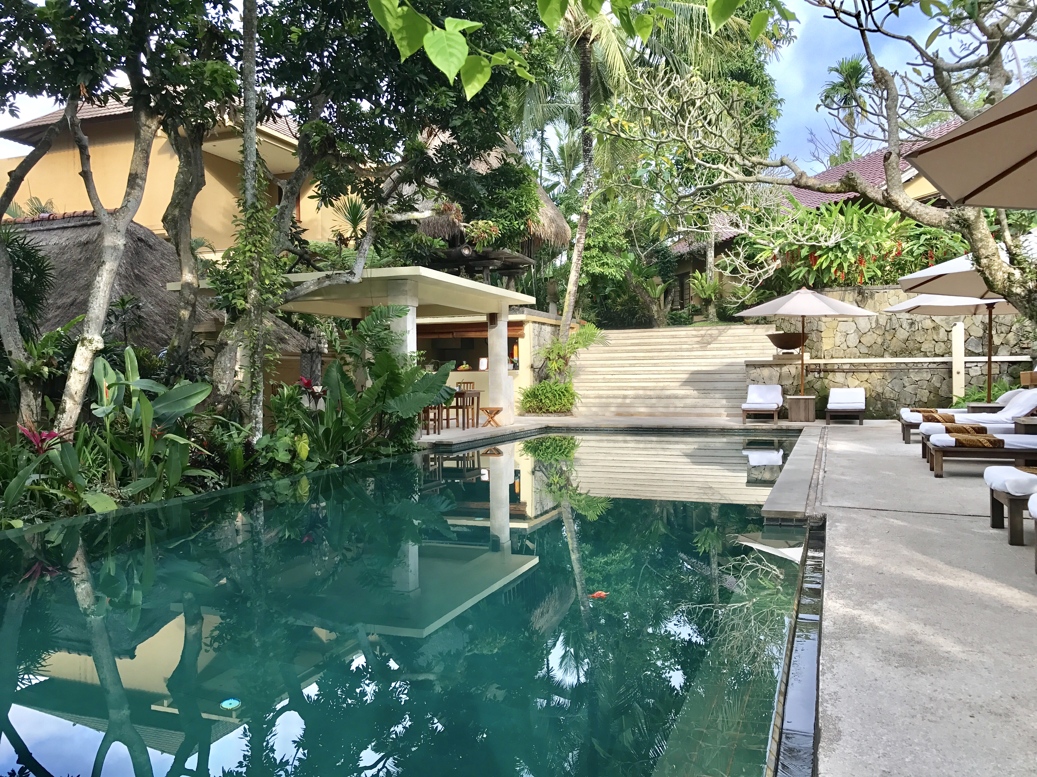 FullSizeRender (02A)