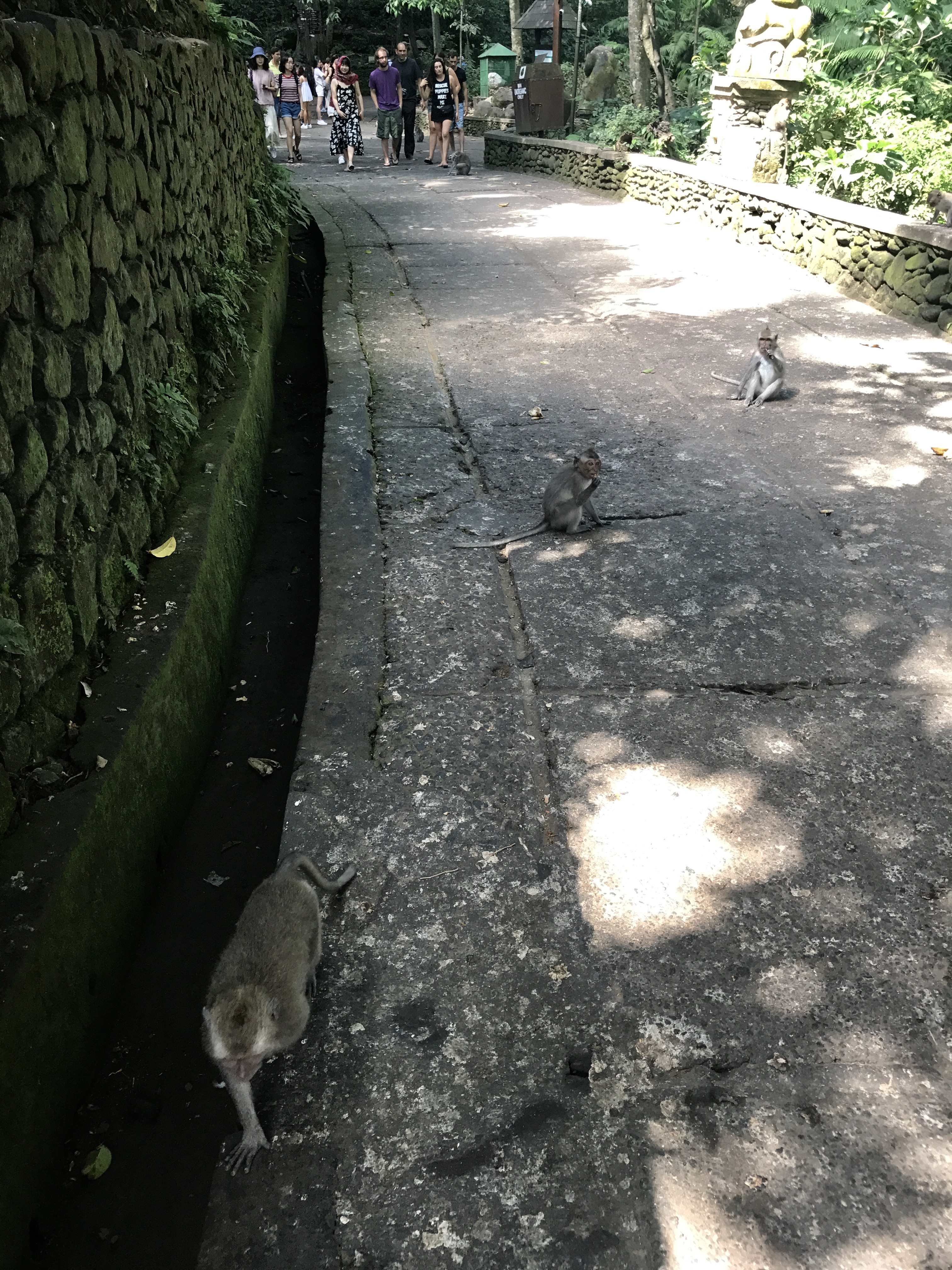 FullSizeRender (02C)