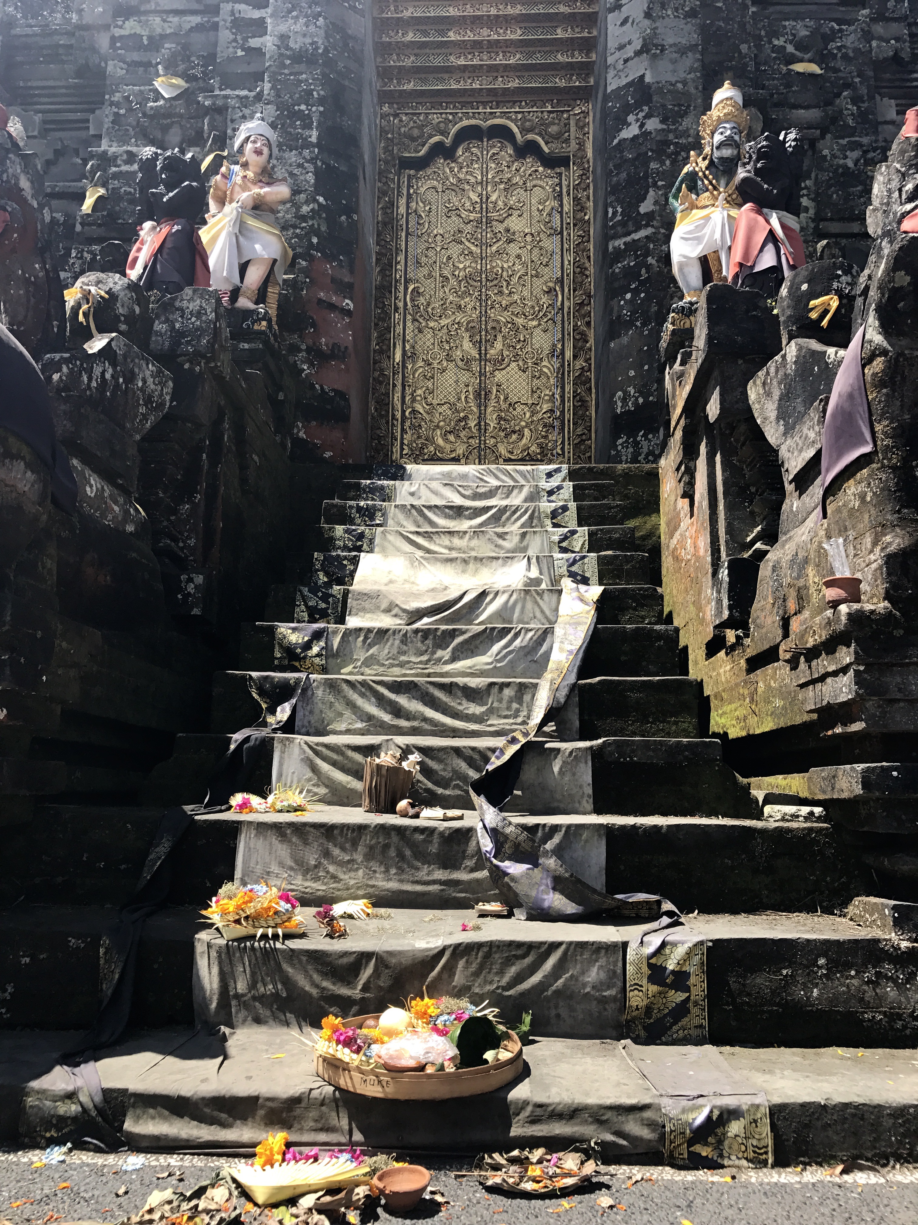 FullSizeRender (031)