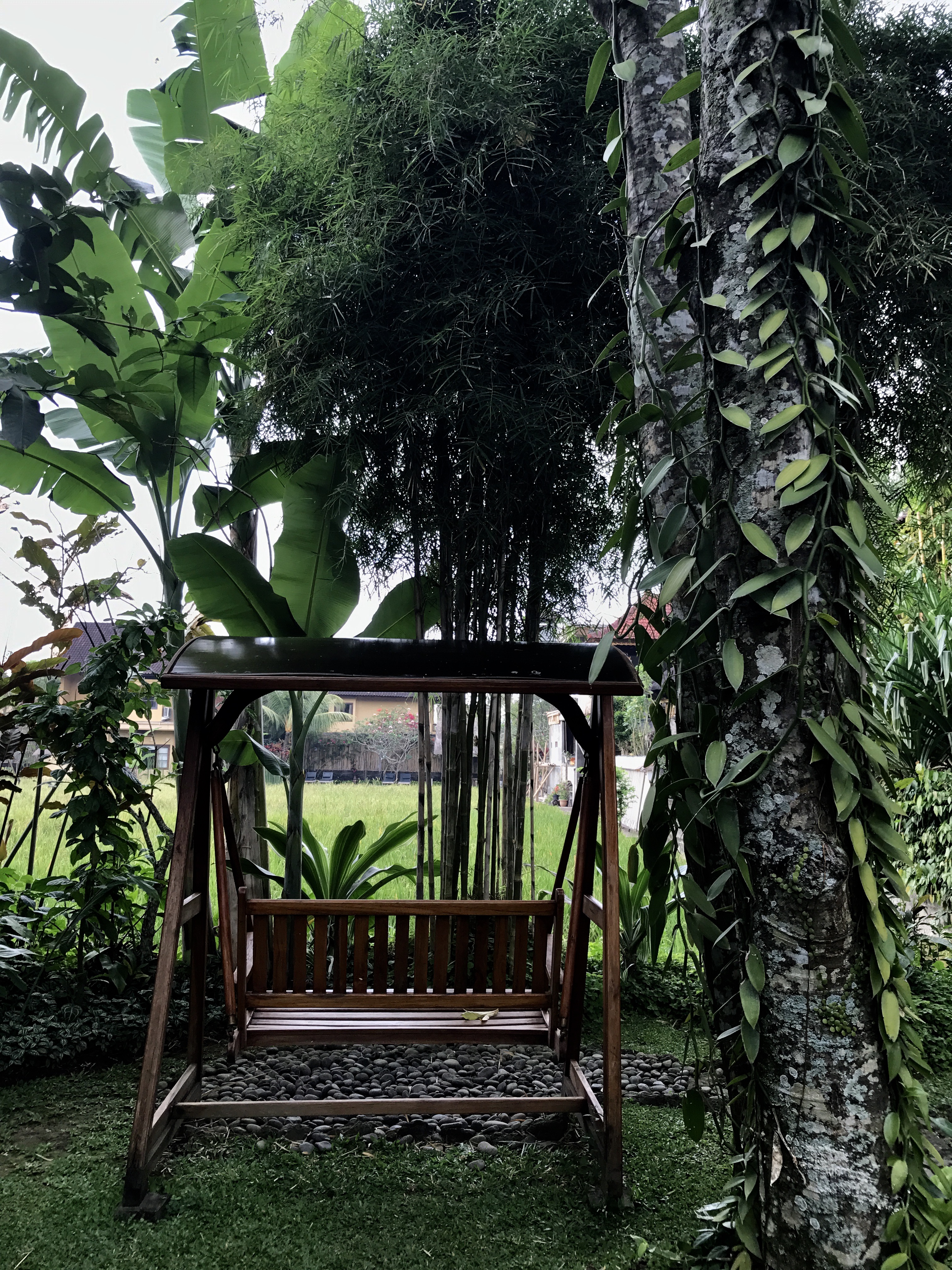 FullSizeRender (036)