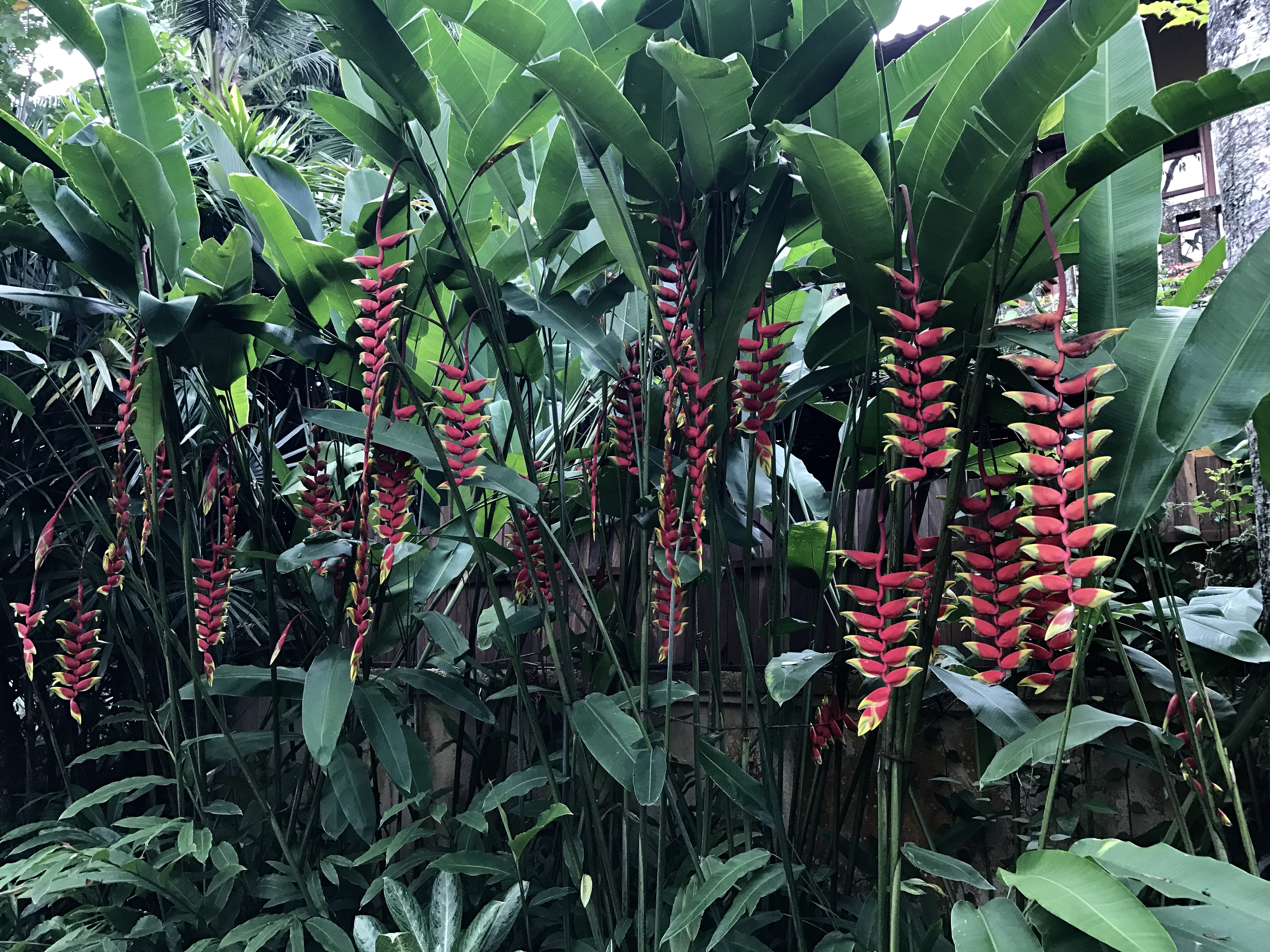 FullSizeRender (037)