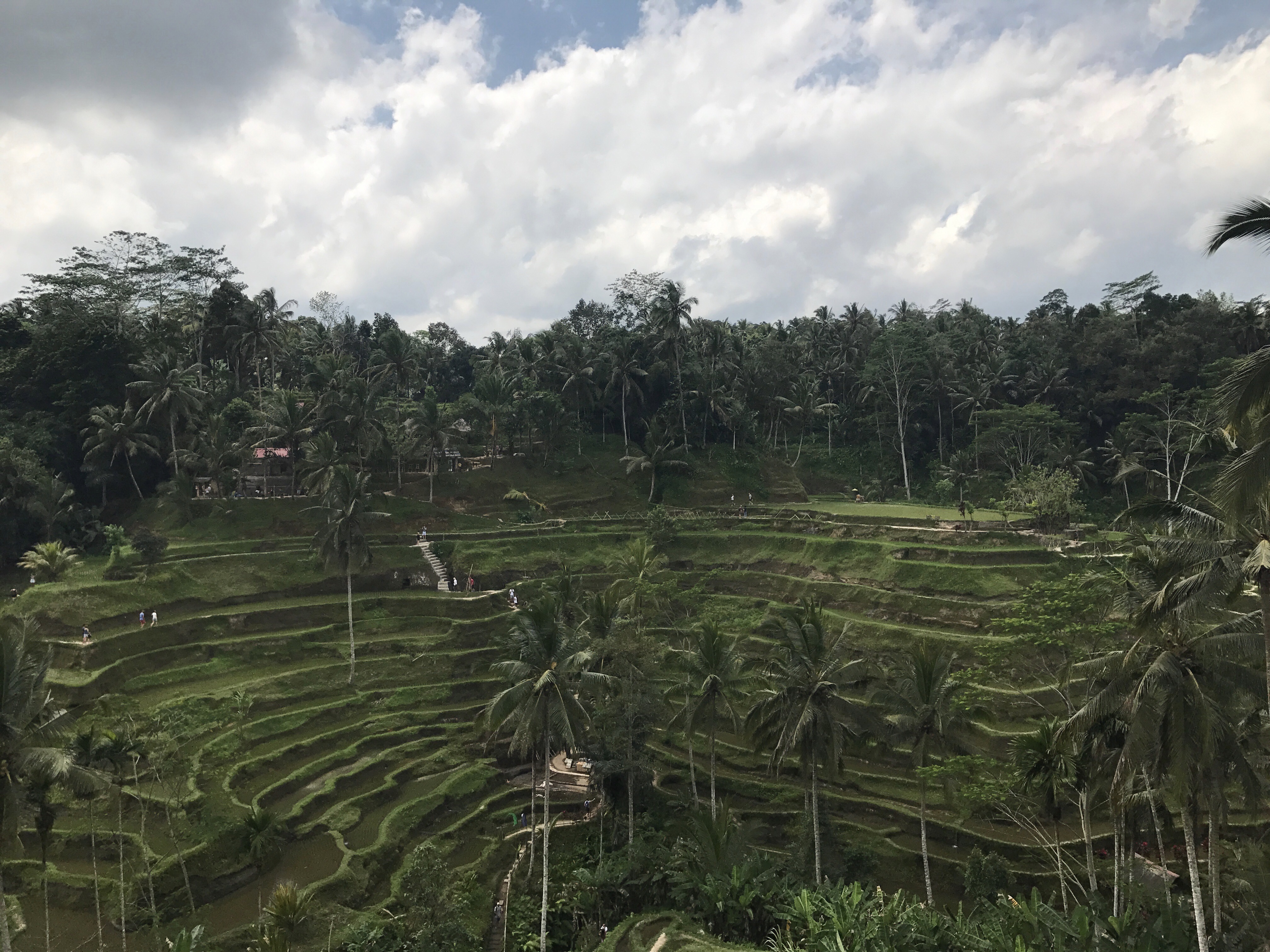 FullSizeRender (03B)