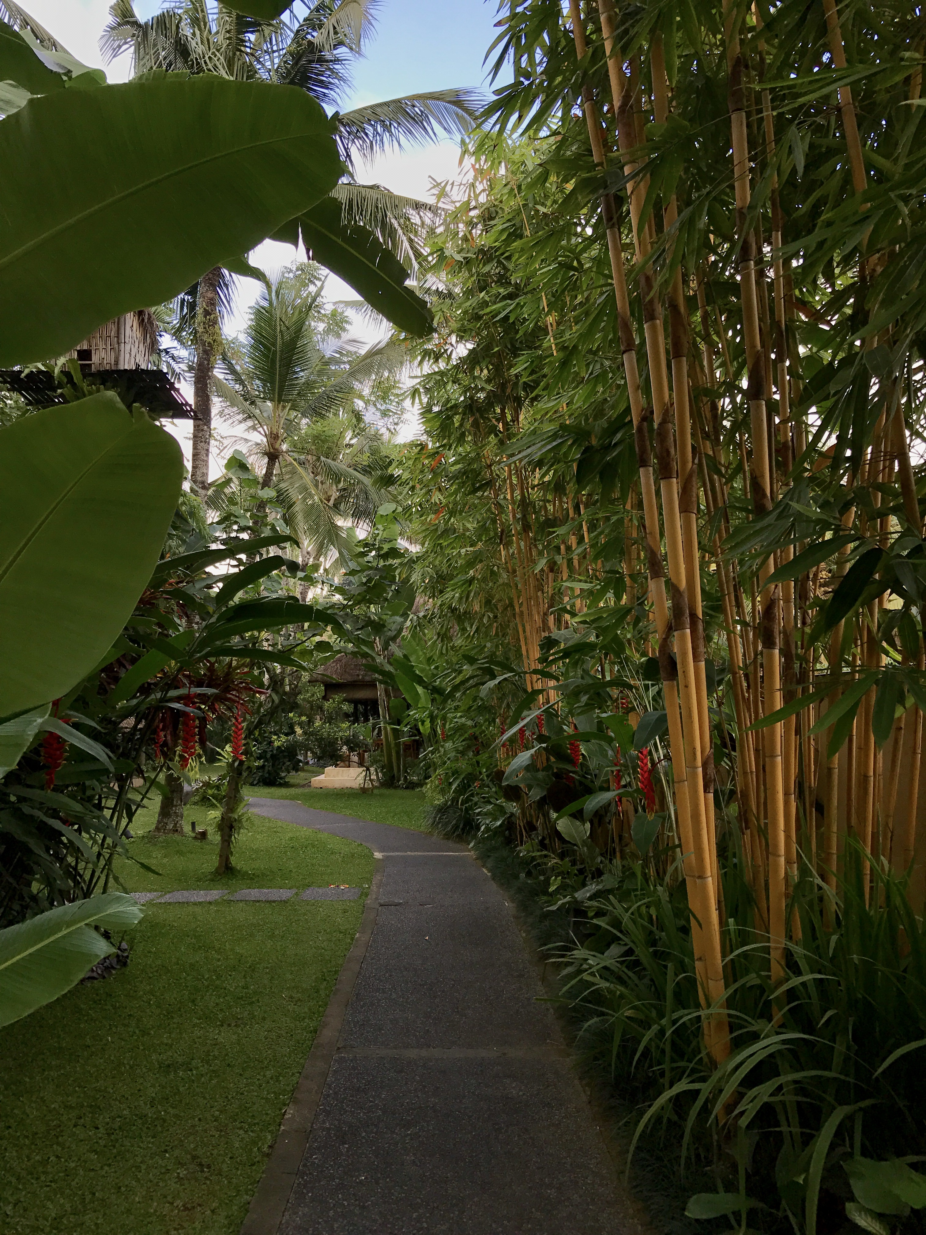 FullSizeRender (041)