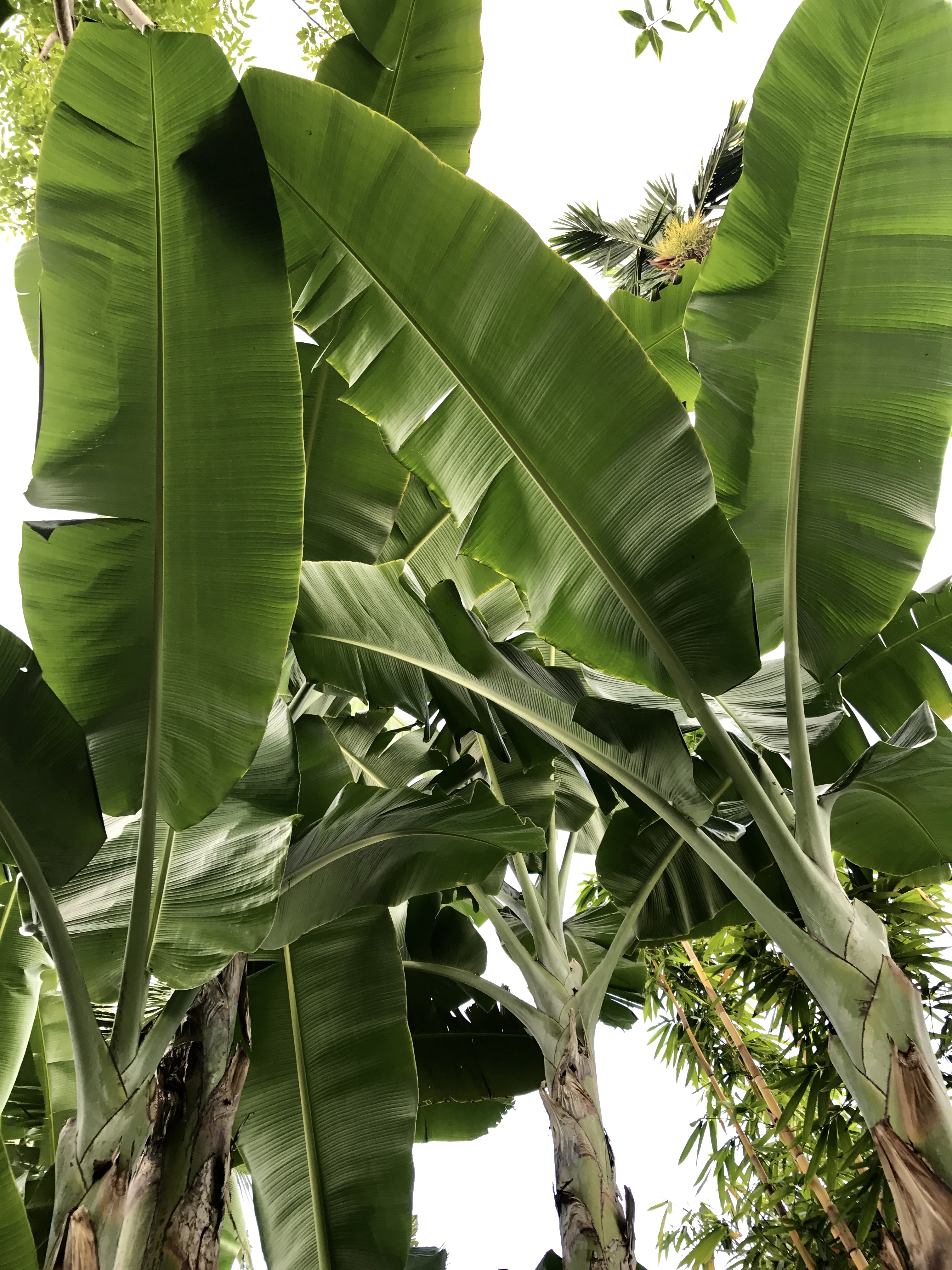 FullSizeRender (042)