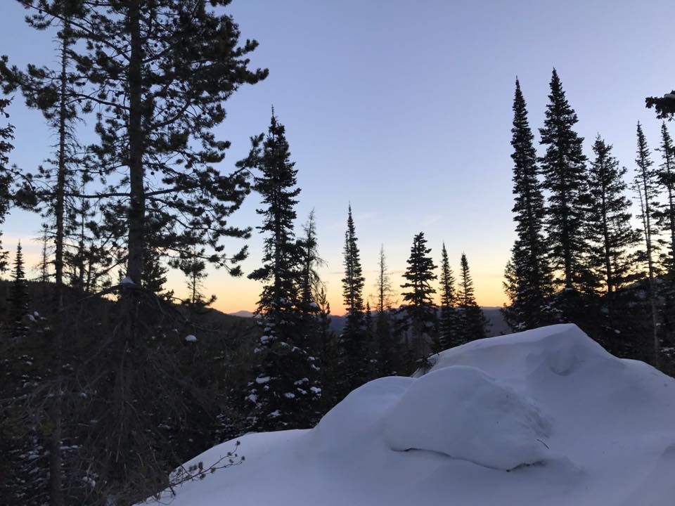 15337412_10153909646986470_6998462932476521851_n